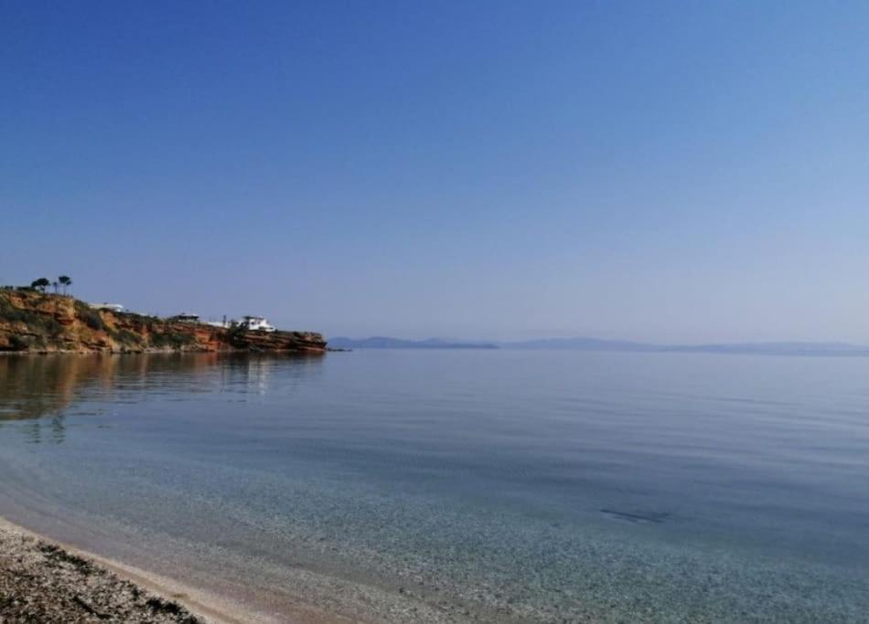 라피나 Summer House With A Pool Near Sea, Port & Airport 아파트 외부 사진